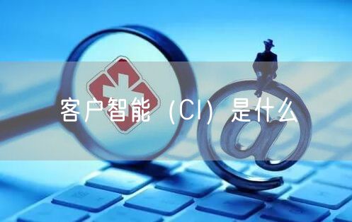 客户智能（CI）是什么