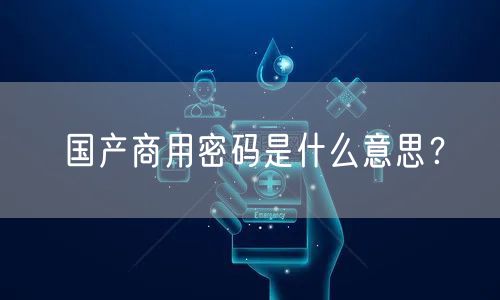 国产商用密码是什么意思？