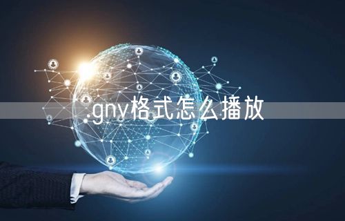 .gnv格式怎么播放
