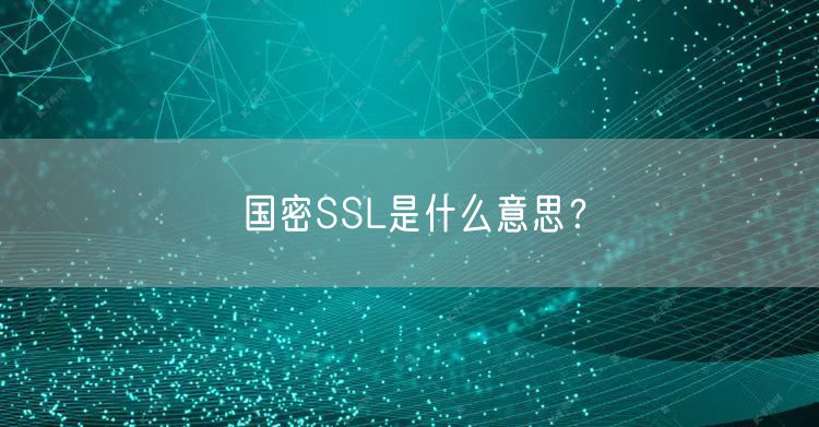 国密SSL是什么意思？