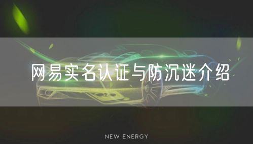 网易实名认证与防沉迷介绍
