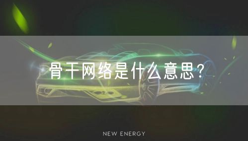 骨干网络是什么意思？