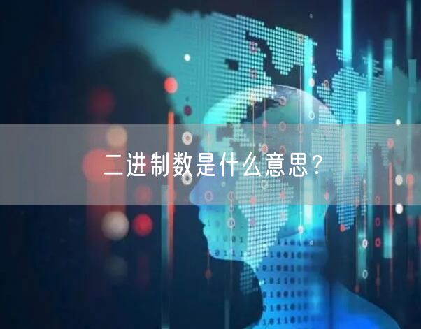 二进制数是什么意思？