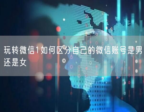 玩转微信1如何区分自己的微信账号是男还是女