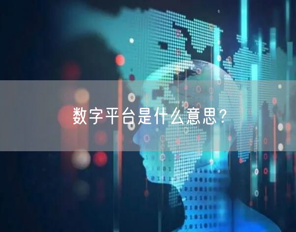 数字平台是什么意思？