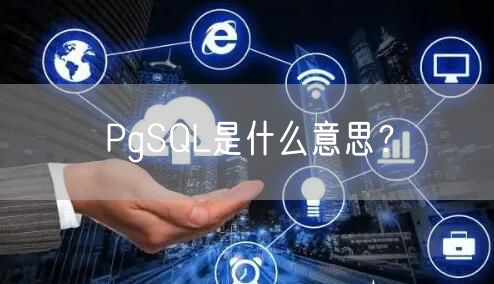 PgSQL是什么意思？