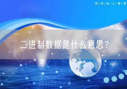 二进制数据是什么意思？