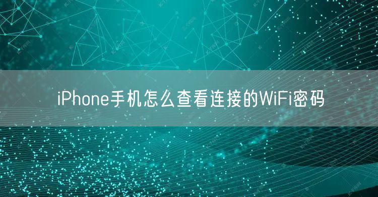 iPhone手机怎么查看连接的WiFi密码