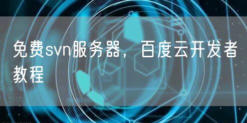 免费svn服务器，百度云开发者教程