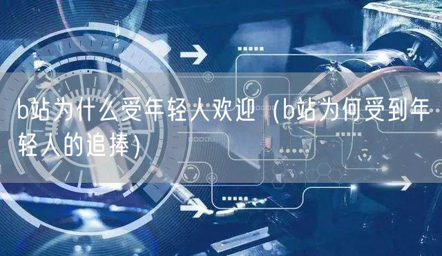 b站为什么受年轻人欢迎（b站为何受到年轻人的追捧）
