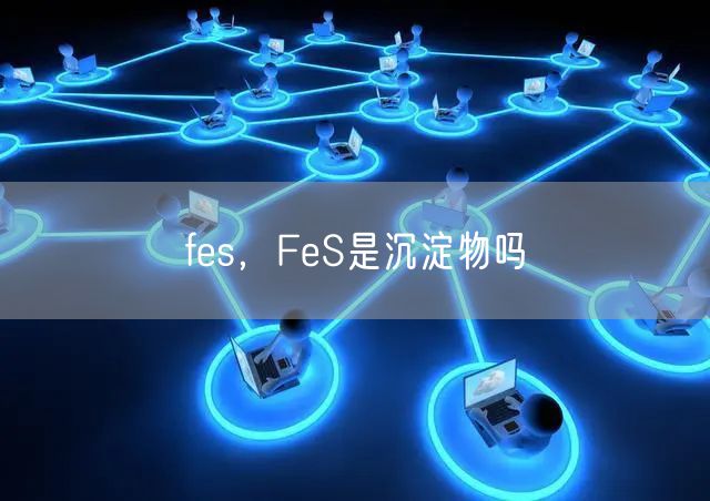 fes，FeS是沉淀物吗