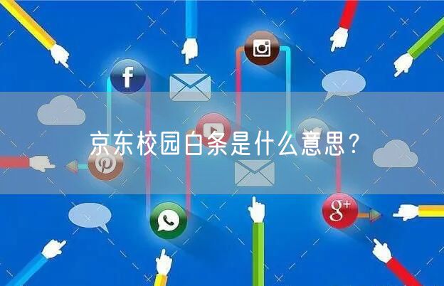 京东校园白条是什么意思？
