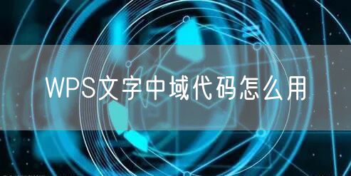 WPS文字中域代码怎么用