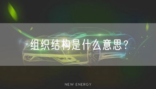 组织结构是什么意思？