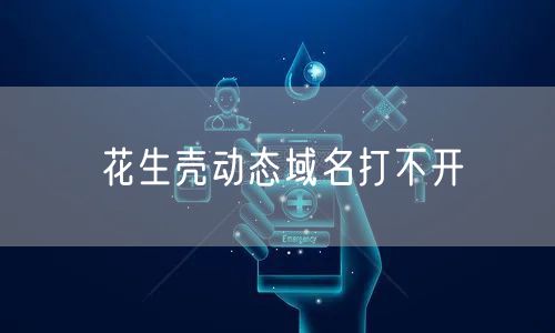 花生壳动态域名打不开