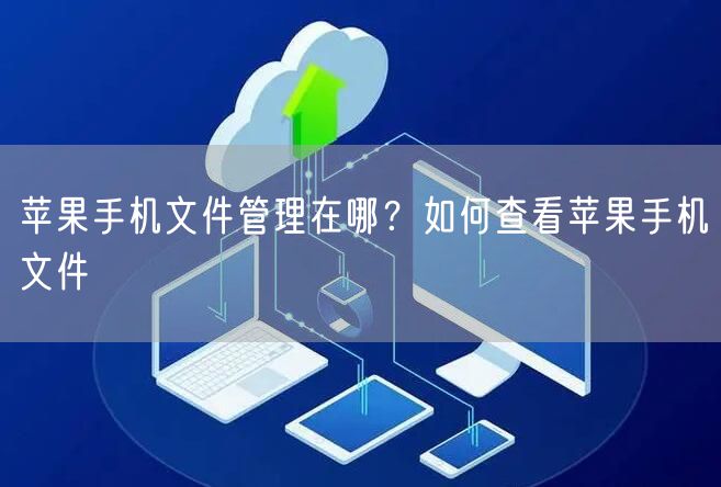苹果手机文件管理在哪？如何查看苹果手机文件