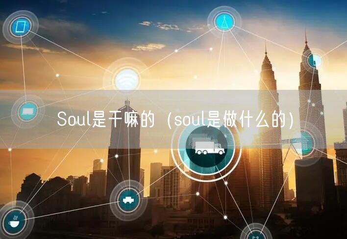 Soul是干嘛的（soul是做什么的）