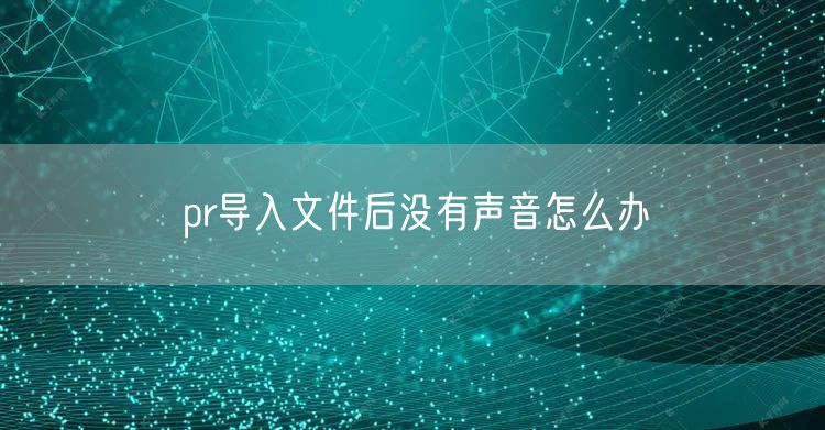 pr导入文件后没有声音怎么办