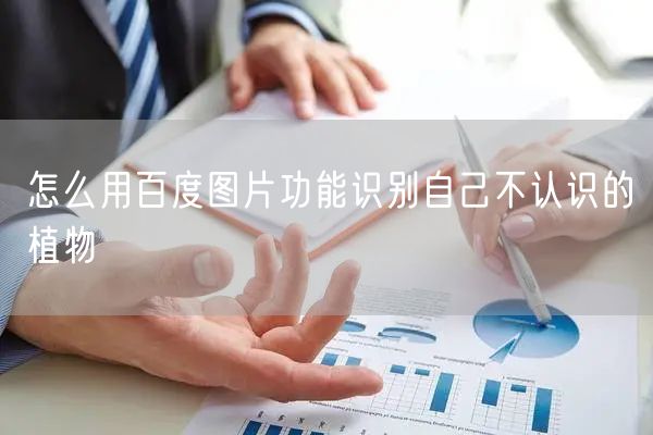 怎么用百度图片功能识别自己不认识的植物