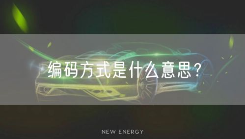 编码方式是什么意思？