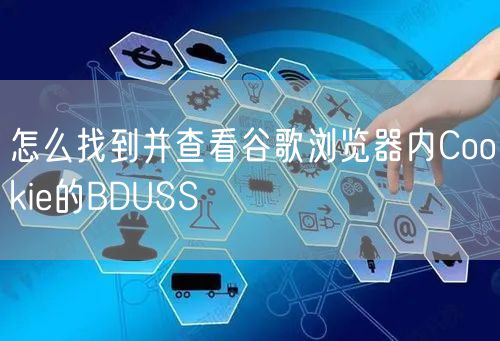 怎么找到并查看谷歌浏览器内Cookie的BDUSS