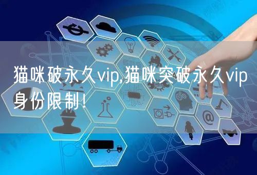 猫咪破永久vip,猫咪突破永久vip身份限制！