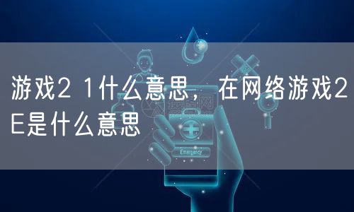 游戏2 1什么意思，在网络游戏2E是什么意思
