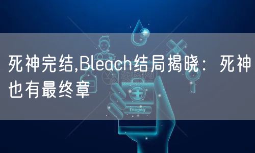 死神完结,Bleach结局揭晓：死神也有最终章