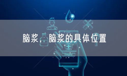脑浆，脑浆的具体位置