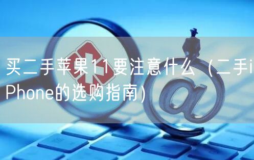 买二手苹果11要注意什么（二手iPhone的选购指南）
