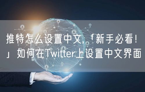 推特怎么设置中文,「新手必看！」如何在Twitter上设置中文界面