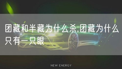 团藏和半藏为什么杀,团藏为什么只有一只眼