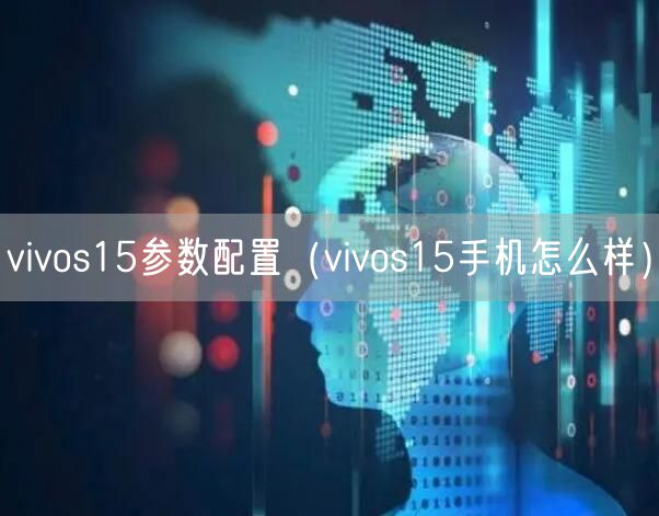 vivos15参数配置（vivos15手机怎么样）