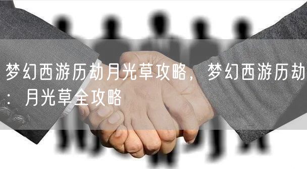 梦幻西游历劫月光草攻略，梦幻西游历劫：月光草全攻略
