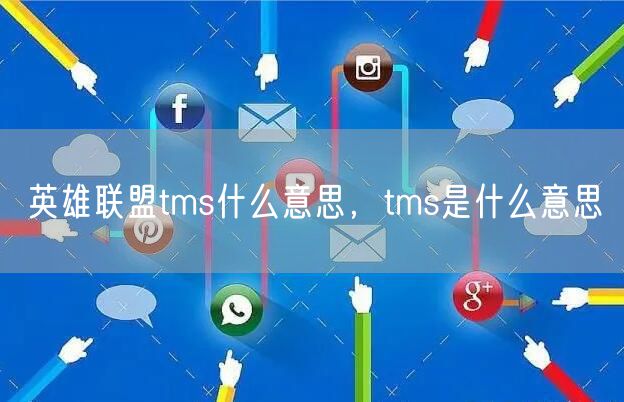 英雄联盟tms什么意思，tms是什么意思