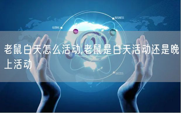 老鼠白天怎么活动,老鼠是白天活动还是晚上活动