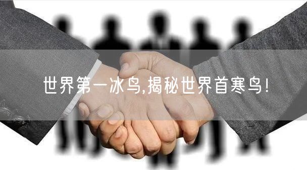世界第一冰鸟,揭秘世界首寒鸟！