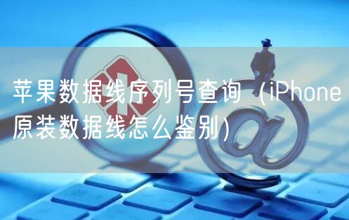 苹果数据线序列号查询（iPhone原装数据线怎么鉴别）
