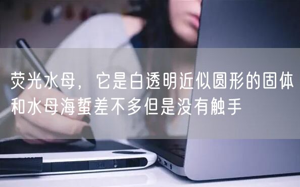 荧光水母，它是白透明近似圆形的固体和水母海蜇差不多但是没有触手