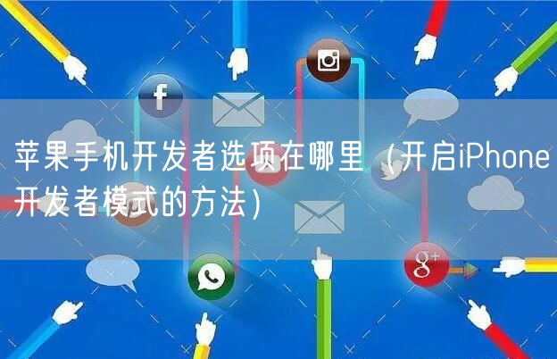 苹果手机开发者选项在哪里（开启iPhone开发者模式的方法）
