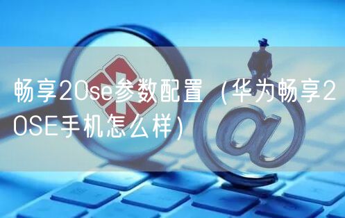 畅享20se参数配置（华为畅享20SE手机怎么样）