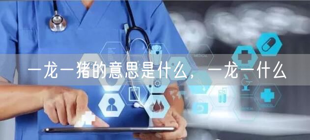 一龙一猪的意思是什么，一龙一什么