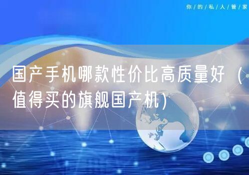 国产手机哪款性价比高质量好（值得买的旗舰国产机）