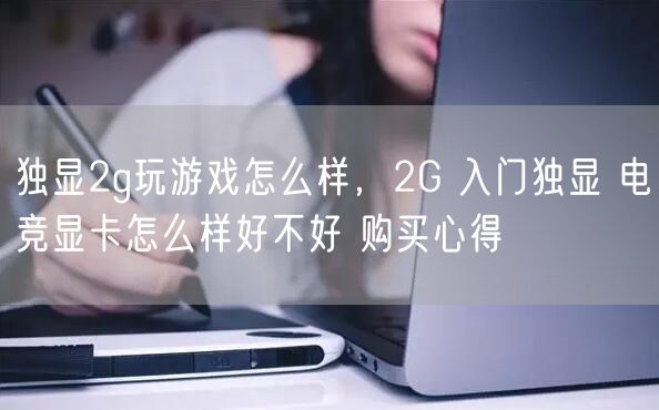 独显2g玩游戏怎么样，2G 入门独显 电竞显卡怎么样好不好 购买心得