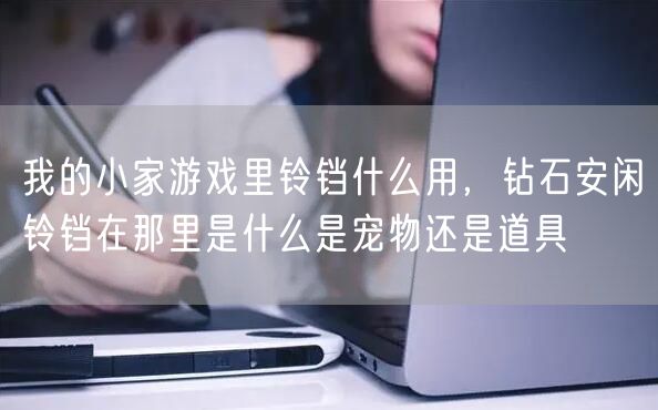 我的小家游戏里铃铛什么用，钻石安闲铃铛在那里是什么是宠物还是道具