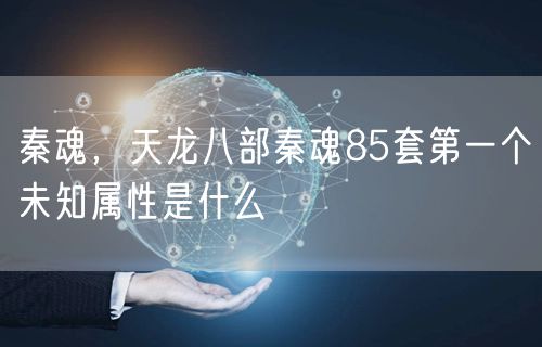 秦魂，天龙八部秦魂85套第一个未知属性是什么