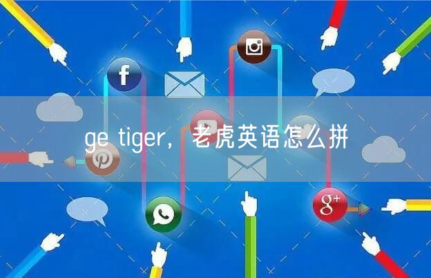 ge tiger，老虎英语怎么拼