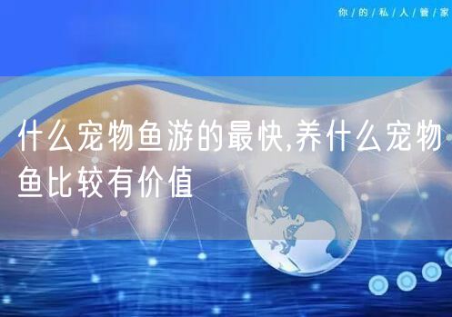 什么宠物鱼游的最快,养什么宠物鱼比较有价值