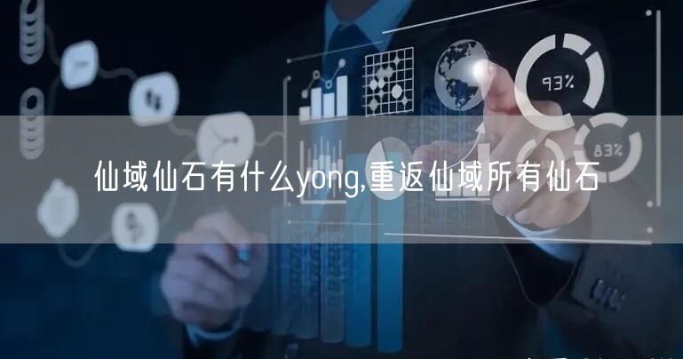 仙域仙石有什么yong,重返仙域所有仙石