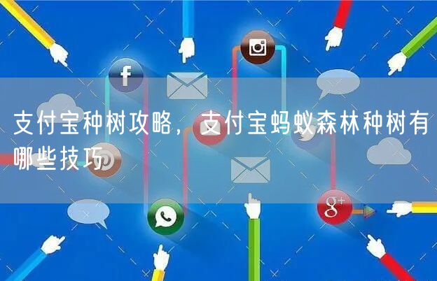 支付宝种树攻略，支付宝蚂蚁森林种树有哪些技巧